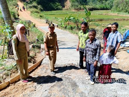 Pembangunan Jalan Produksi Di Desa Puyung Dari Dana DAK APBD Kabupaten Trenggalek Tahun 2019