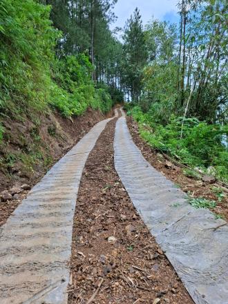 Menelusuri Sejarah Lingkungan Kapas Salah Satu Pemukiman Di Jantung Desa Puyung